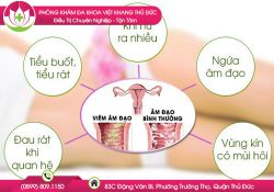 Viêm Nhiễm Phụ Khoa Đáng Lo Ngại Không?